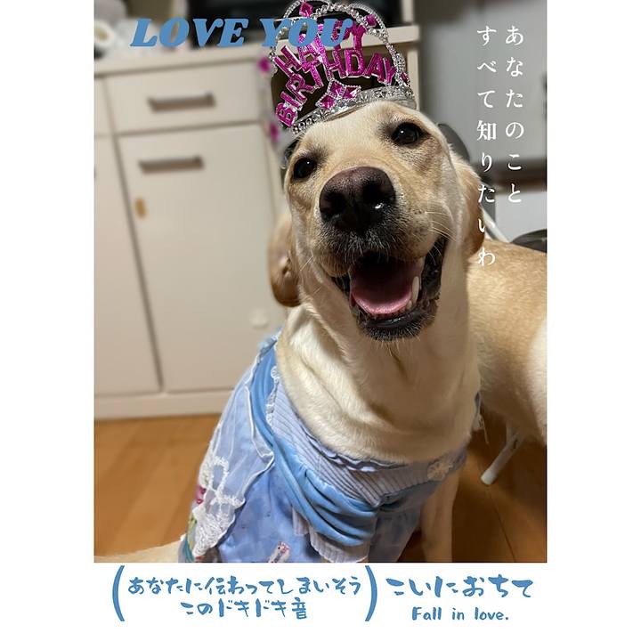 39c5f374 5136 4d2f b853 bcdf2772edc2 1652875914224