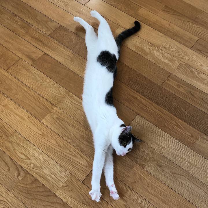 39c5fd74 73c0 4df0 a773 633964c54e4e 1623138379170