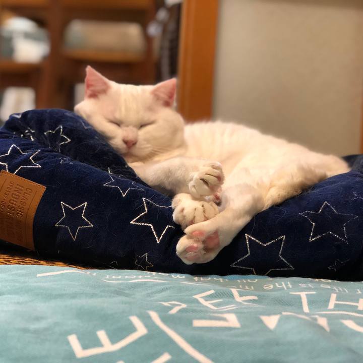 39c60b7b 252c 47b2 b06d 9047ff8dfacb 1573728578526