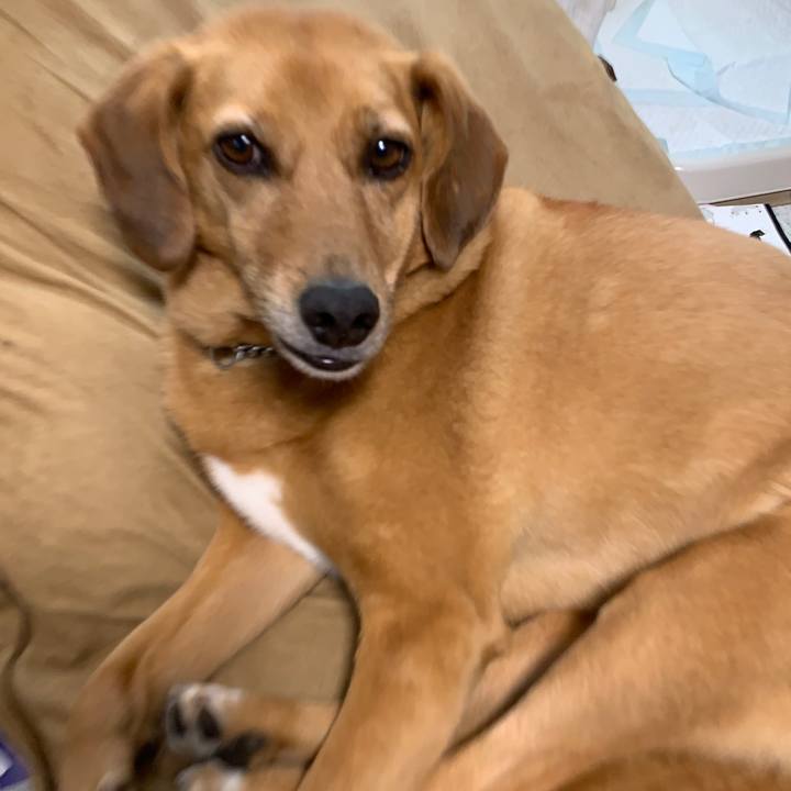 39c61406 7ce0 48db ab8d 12edcbb63655 1562844728774