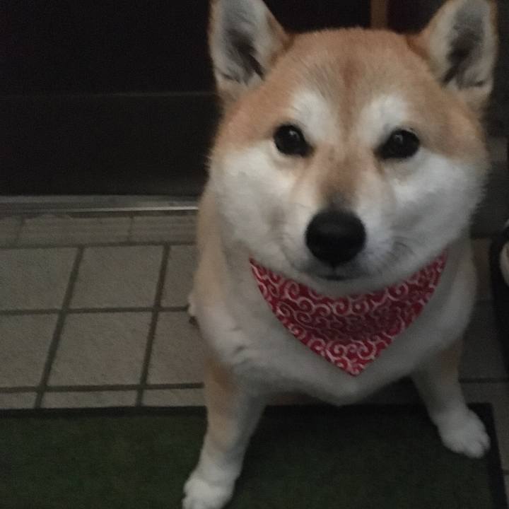 39c616bd f580 49b3 bfcc ba7488a2e24f 1582521978828