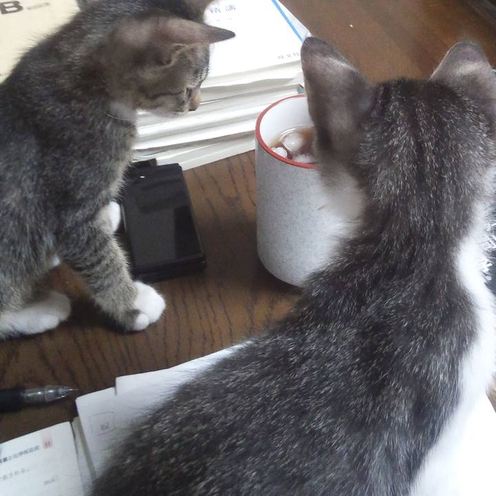 39c6789c 9af7 4177 abec a36c37280dfa 1605450801004