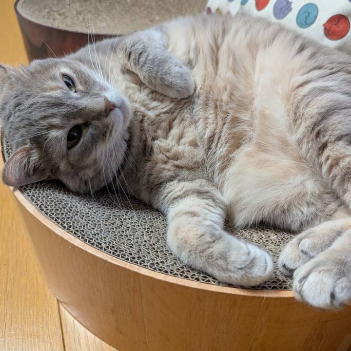 39c6cf91 162c 4327 858f 126edf08f16d 1745491840066