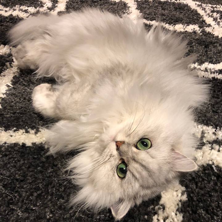 39c729d0 98f5 4b92 b5f0 6d123de741bd 1576499978712