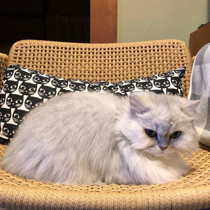 39c73f01 7a39 49ba a1aa 0b2be8ce8a3f 1584615627311