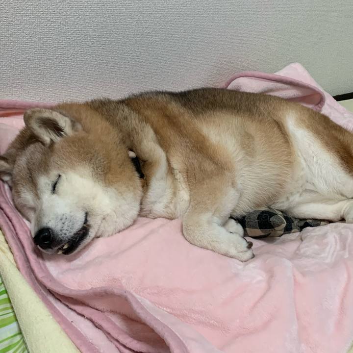 39c791bb 828f 4688 a8c7 cac414c82ed4 1666566293544