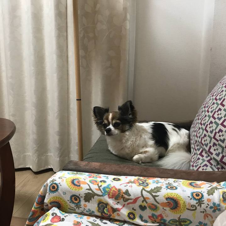 39c847dd 9525 4524 bfef 921154e5feeb 1528550714459