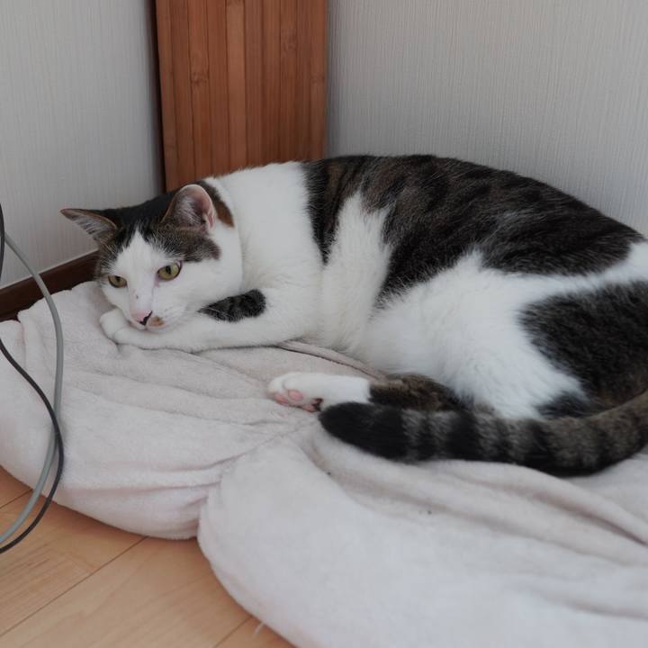 39c86648 c99d 4271 8098 c688e6b98100 1591705761576