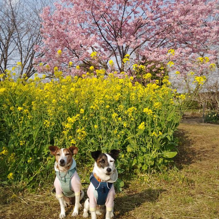 39c87a09 4939 434e ba96 8b5227ad2ff7 1774689041021