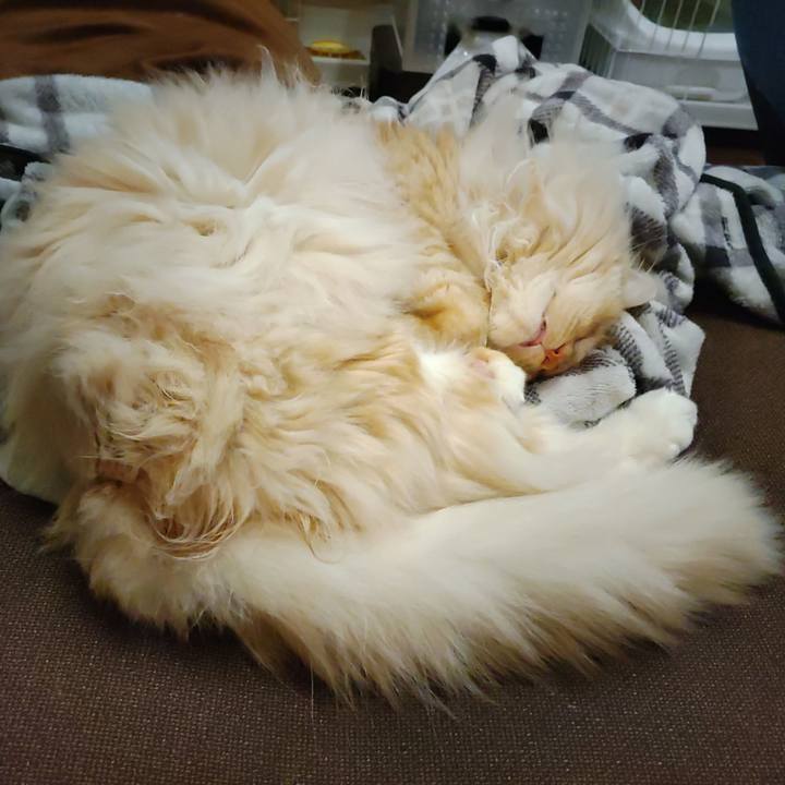 39c89377 f9bd 40c5 91eb 9ffcb680b57c 1713959318002