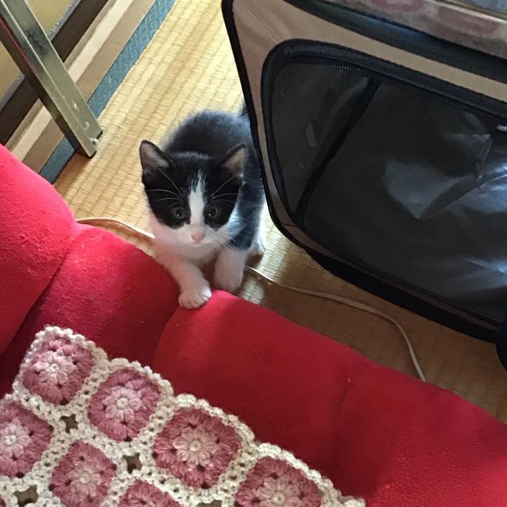 39c8cc40 ba8d 451d bf0b c06913f034e2 1623723270431