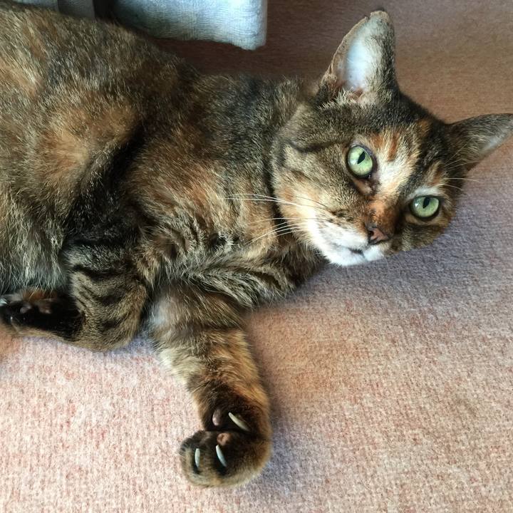 39c8f0da bacf 4d1d 9ffc df1d41d019f2 1630789544984