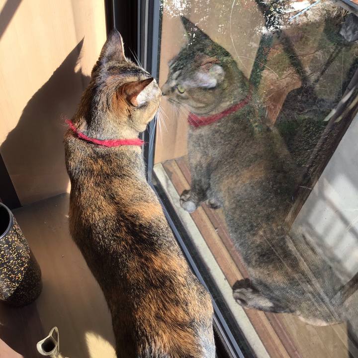 39c908ad 50ae 4b4e 8606 f702978c7011 1603240534508