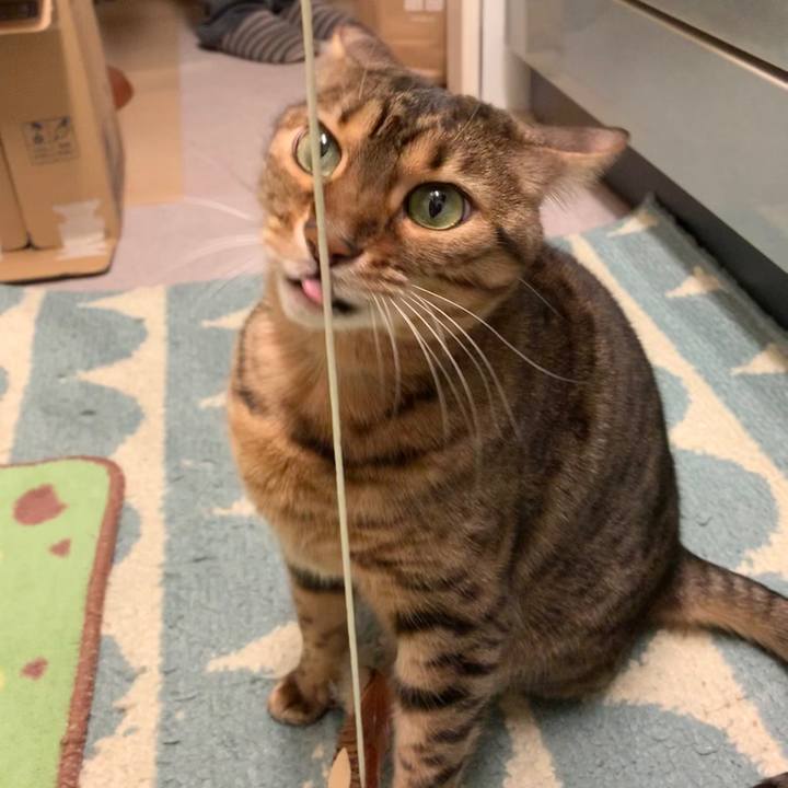 39c90d00 0d9e 4ed2 8b01 f467d0194252 1578787753185