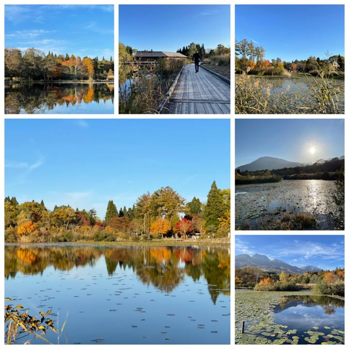 39c93088 4c39 47c9 b172 fb1712a3ecfa 1635590844081