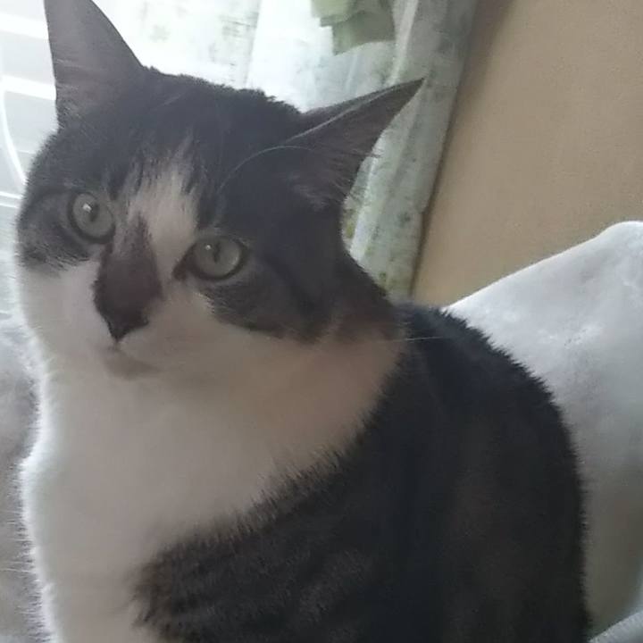 39c9484c 2c83 41c1 837f 5c9136aadef4 1602417480631