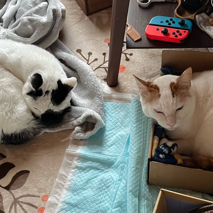 39c96717 09b7 4f19 98ce af4514354090 1767101119279