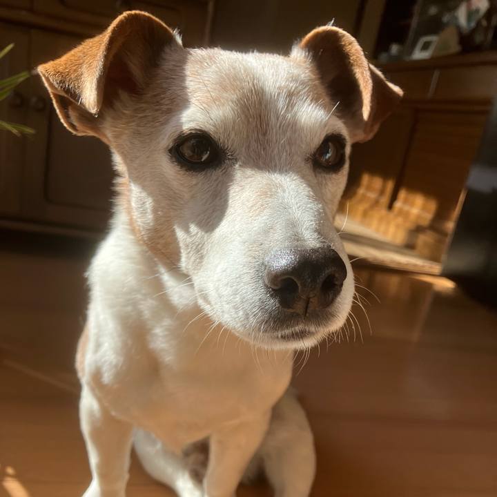 39c99a53 a750 463e bca1 28515c41ed56 1768538489668