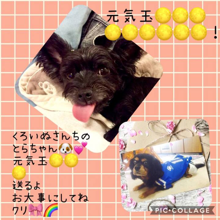 39c9adcf aa94 4a19 b257 6a9464c9485a 1546771031685