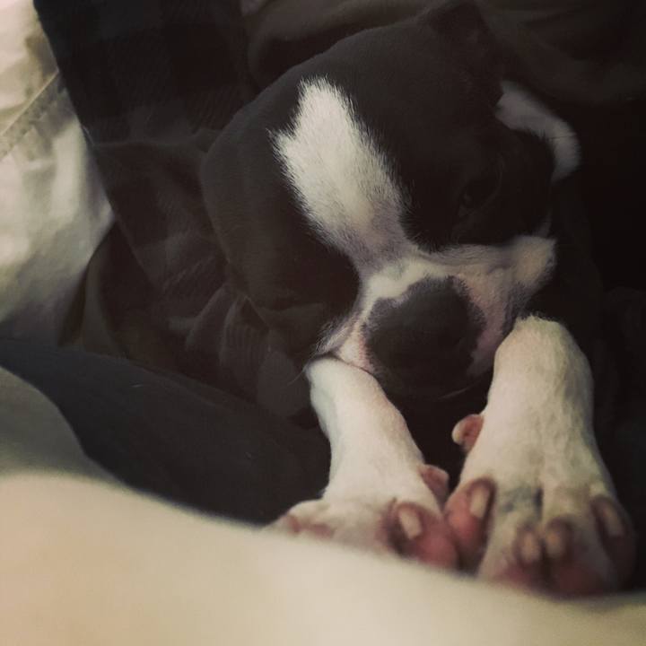 39c9d423 cd20 44b2 ae02 951d75318ae9 1522119457915