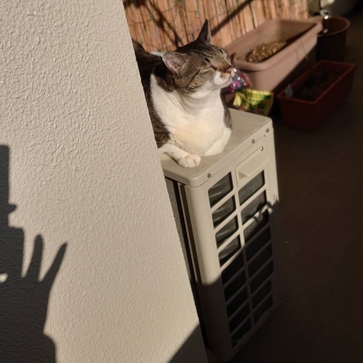 39ca6290 14e2 402d 9c1e 0748bcc369a6 1645487841200