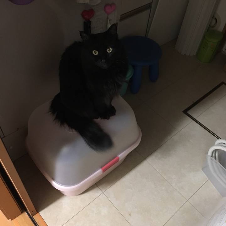 39ca67a6 a5f0 46ce 825a 35589679abfc 1525692400227