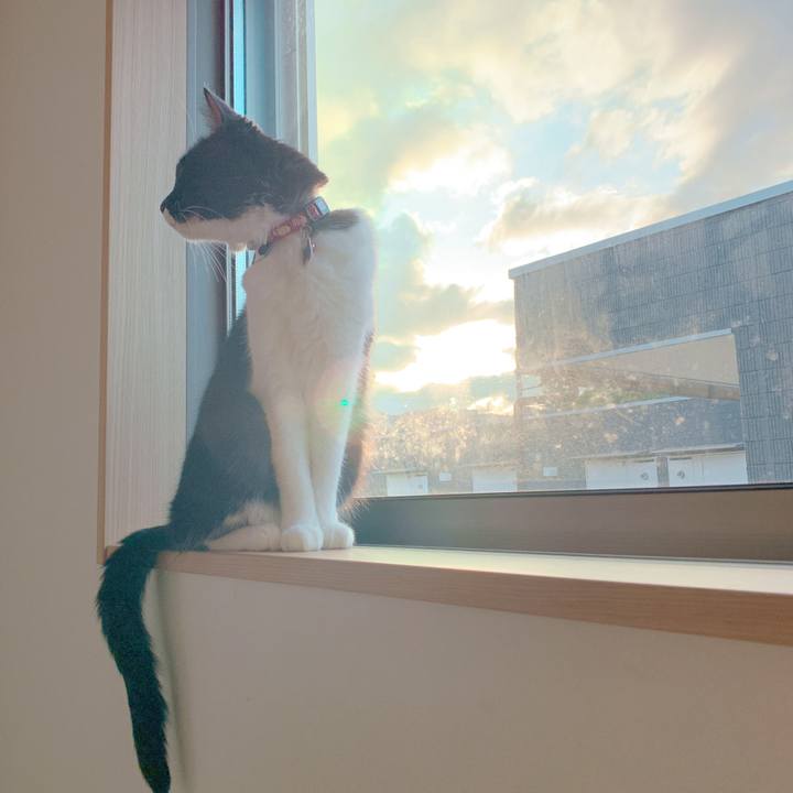 39ca80a9 4c4a 4036 9249 c17efedcb4fd 1570313905648