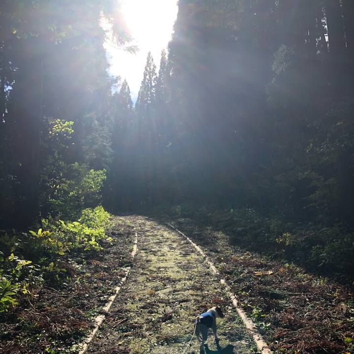 39ca8f55 1b31 482c 8dbf 562ab7710338 1571225710828