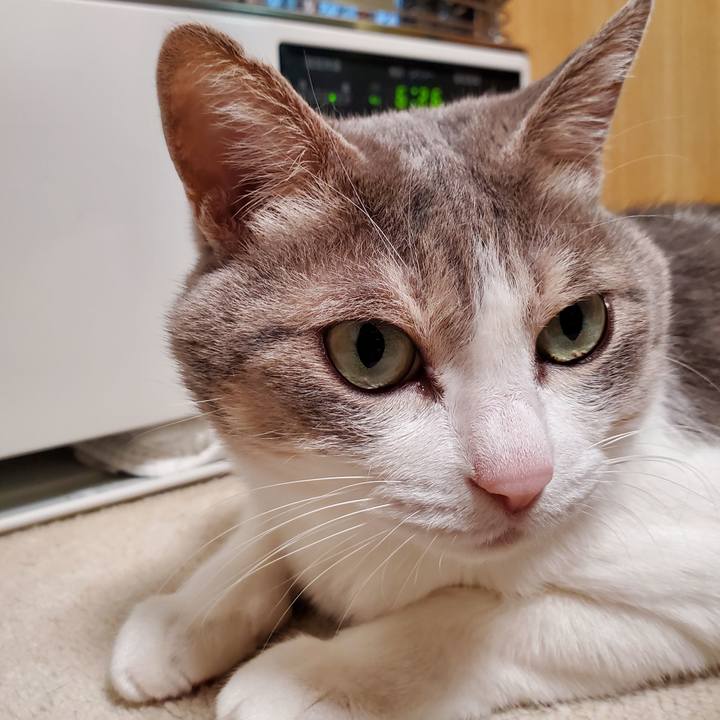 39ca9105 6c9f 41eb 88e9 416a354c671a 1704637403010