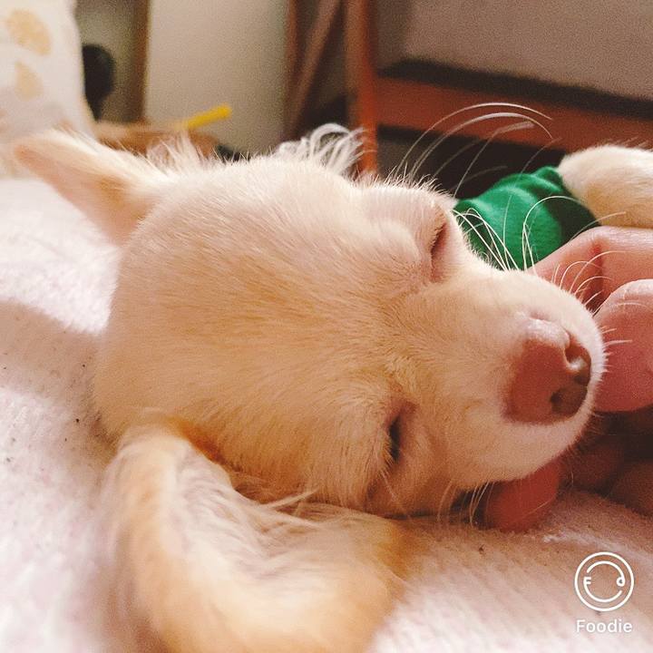 39ca9c13 fce2 41ca 9fac 12e9c5c8ab45 1599378943788