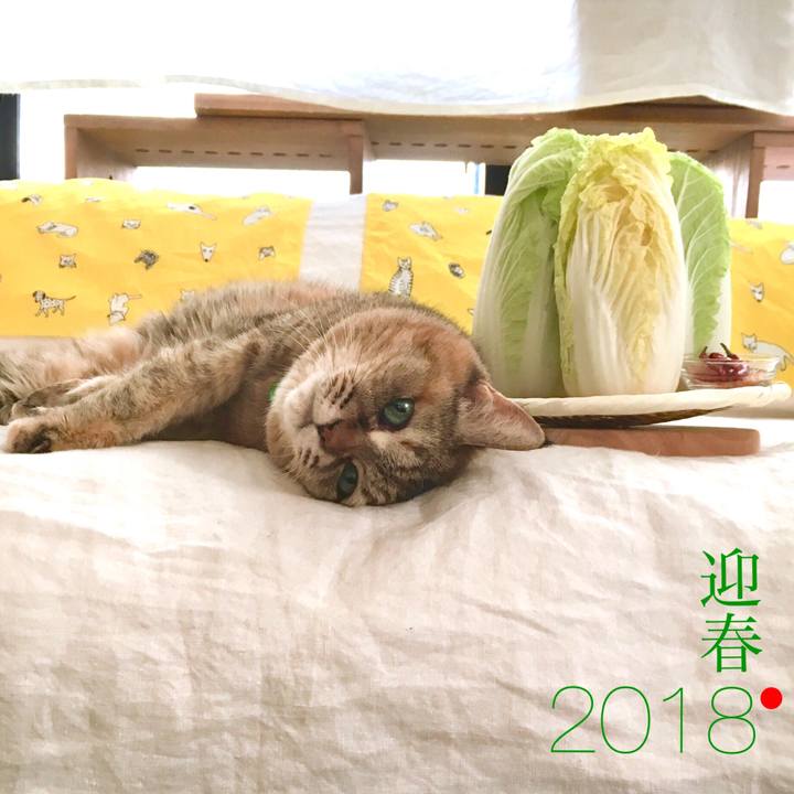 39ca9dbe 7e13 4aa1 a7d8 1b929b598ba5 1514947720119