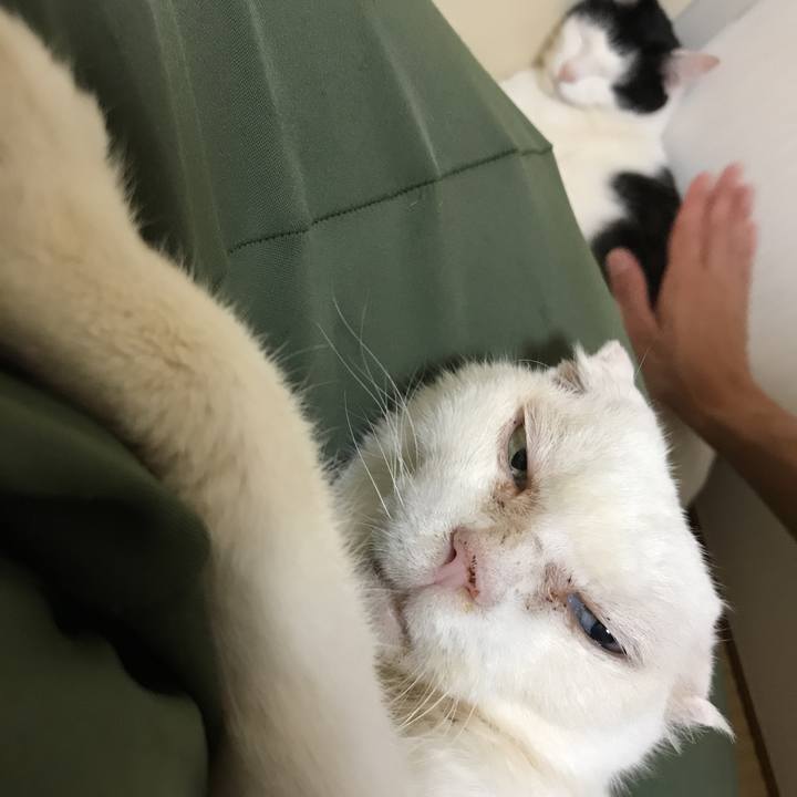 39cab3bf cc9d 4555 874e 4913f03fcafd 1528886305245