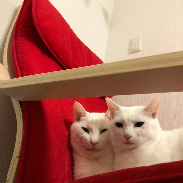 39cab72c 5296 4a1c 99ff 8360841088da 1512643771599