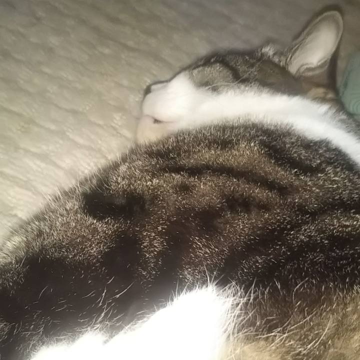 39cabedc 1e07 4ce7 8905 2cdba147c1a8 1624959326906