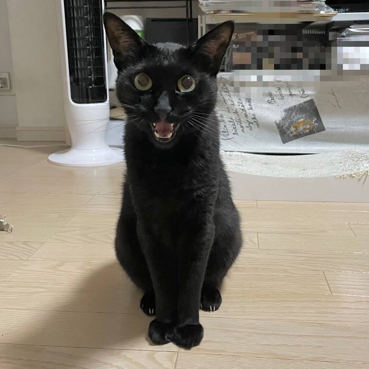 39cae17c 812f 409f a797 06649a49c1fb 1687522359982