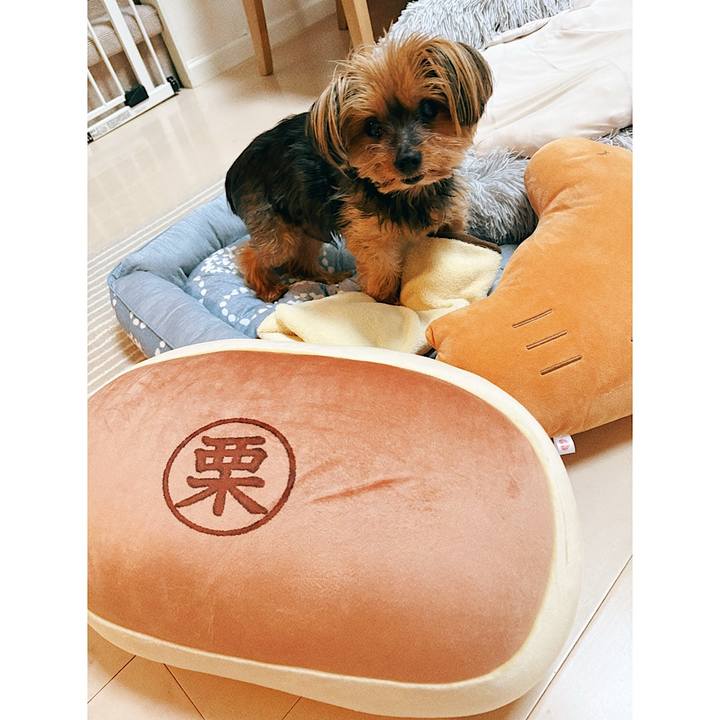 39caefc3 2a30 44e9 997c 711409aca915 1749616788627