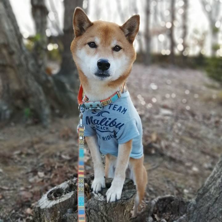 39cb5f4c 7b01 4f29 bbe2 d07a7d56318a 1610091709156