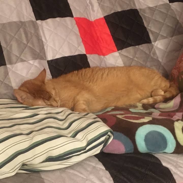 39cb8095 6e02 4411 a034 dc3ebcddea29 1633132732536