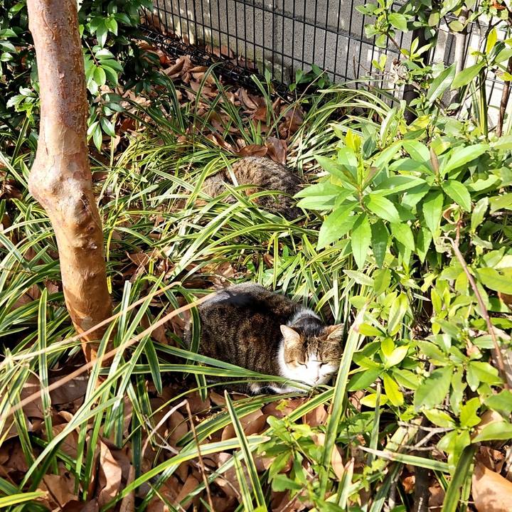 39cb84ec 35ff 4839 a4f1 f672fde37a55 1703666985265