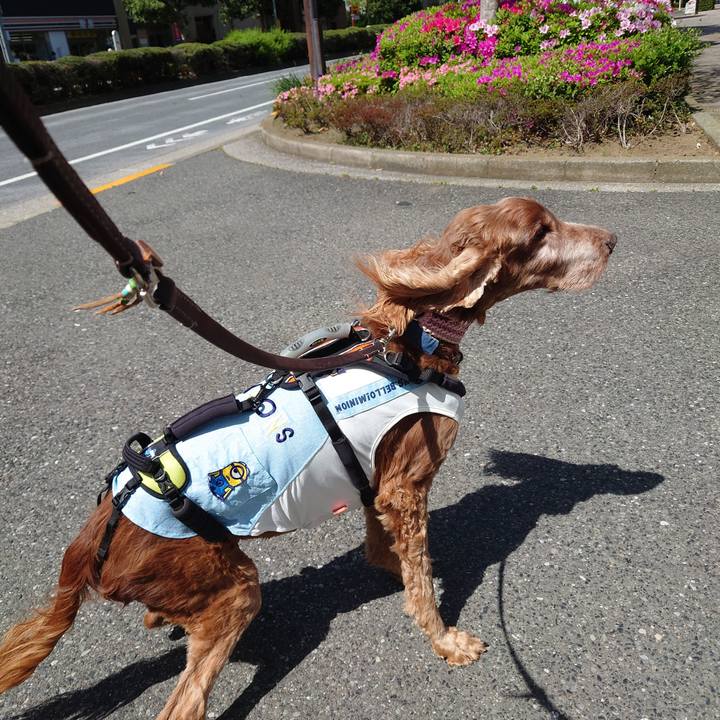 39cb985c 8ab6 4f07 9c46 1e1bf65fb2ec 1713494345452