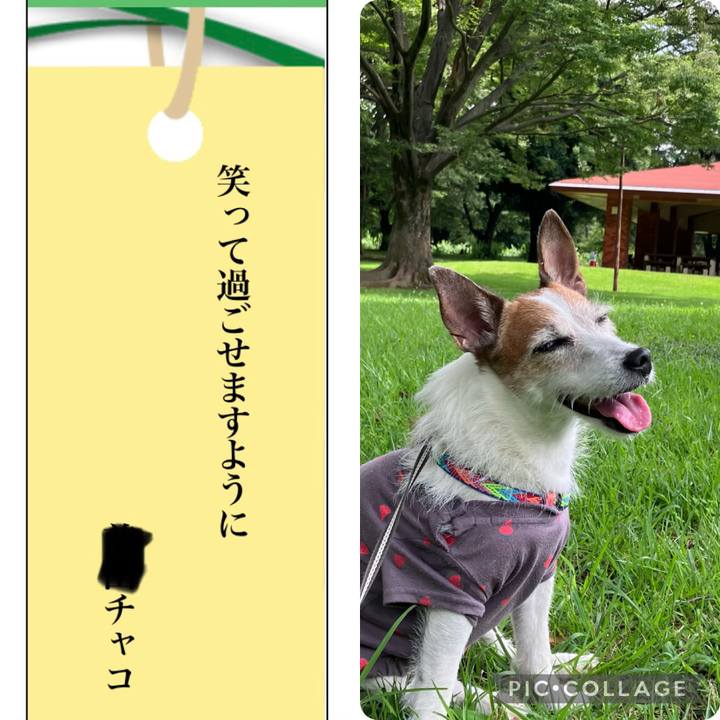 39cbe20e 5384 46a7 a381 947648b1d944 1688685893856