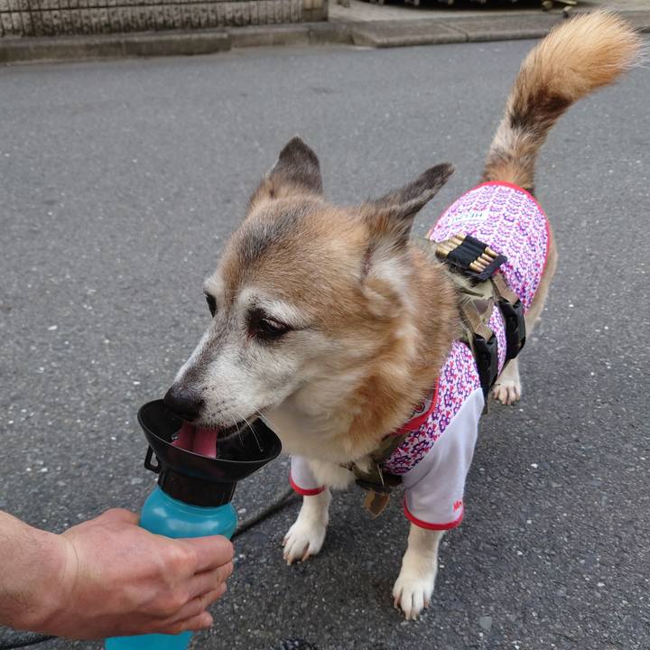 39cc1be3 ebc7 45af 8c3b dc6e7d3b7fe4 1684671557984