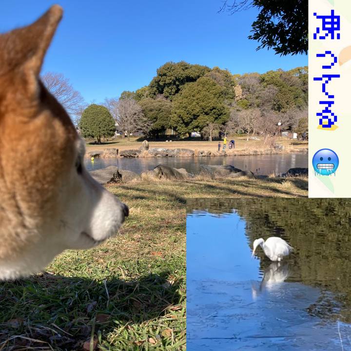 39cc1cc1 2fb5 4be4 8dbf 5f419bba5422 1769916783101