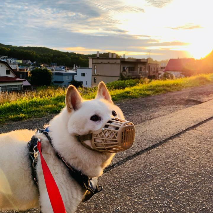 39cc4648 1a78 4f29 b2c1 e5109db8b143 1632172548602