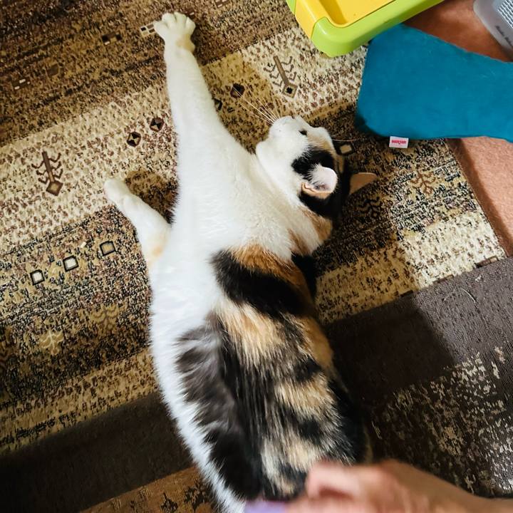 39cc87b7 5c2d 47a9 9e54 00b8bd81ea9d 1705455649180