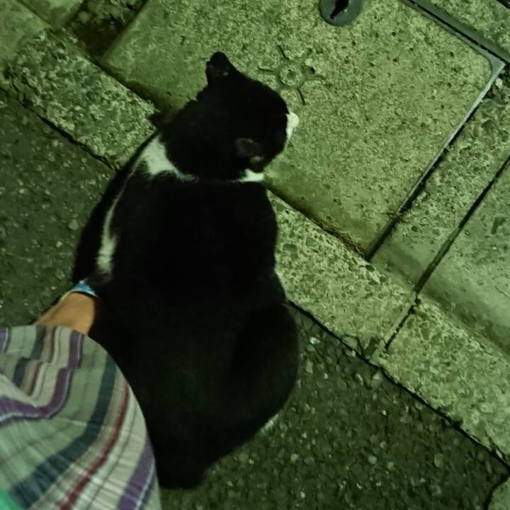 39cc8e10 f134 4df2 88bd 4868402657d6 1531053997255