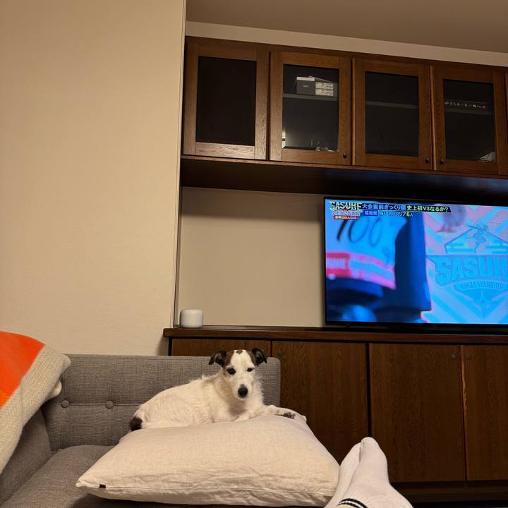 39cc999b ba96 4b8b 8594 f35b49305ee3 1766580819636