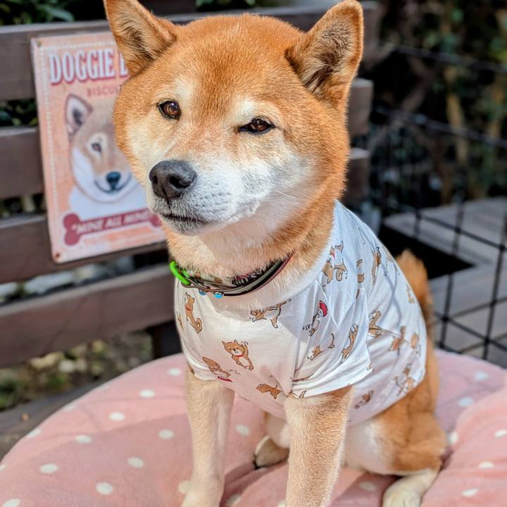 39ccb298 734a 4633 9472 6b0f8cb4a5b5 1772002171937