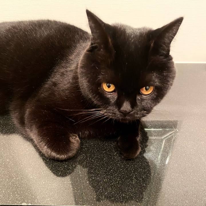 39ccc7ca 88be 4c55 b0c1 d6adb03a5502 1700315120781