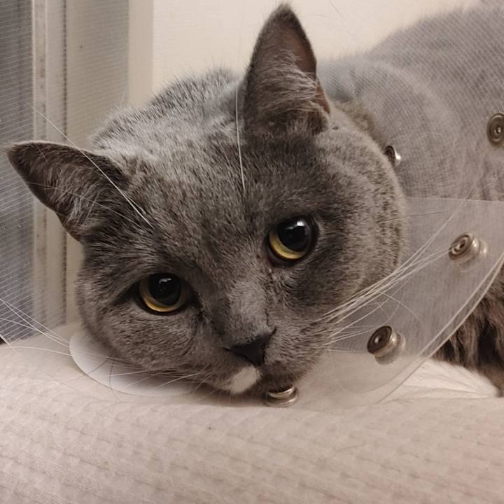 39cd0674 c4fd 4cac acba dc529427b739 1611581680197